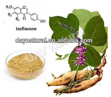 Pueraria Root Extract Puerarin 99_5_ hplc